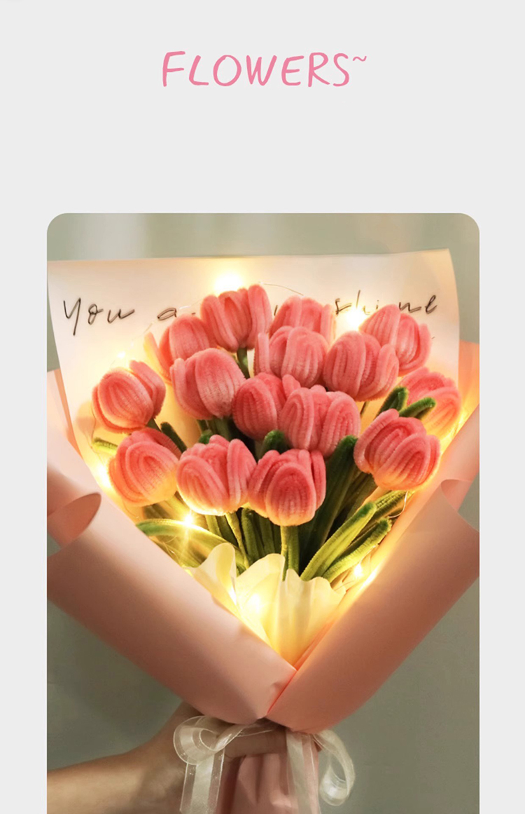 Pipes Cleaners Crafts Kit 02 2